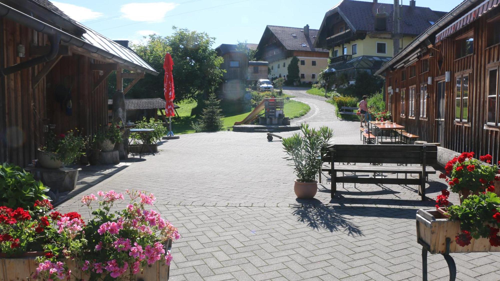 Ferienwohnung Bio Archehof Zachhiesen Seekirchen am Wallersee Exterior foto