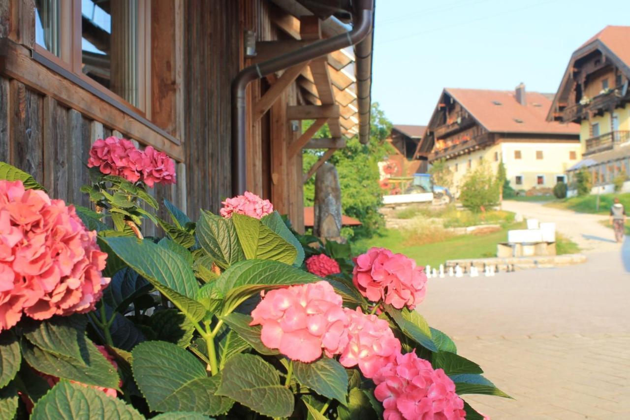 Ferienwohnung Bio Archehof Zachhiesen Seekirchen am Wallersee Exterior foto