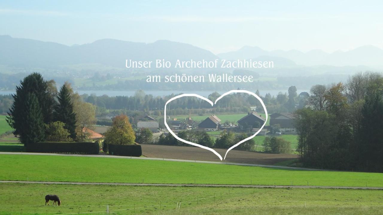 Ferienwohnung Bio Archehof Zachhiesen Seekirchen am Wallersee Exterior foto
